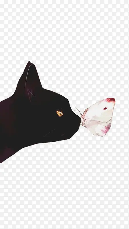 猫和蝴蝶插画