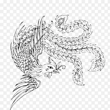 凤凰