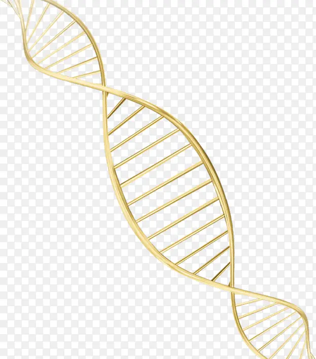 DNA 螺旋纹