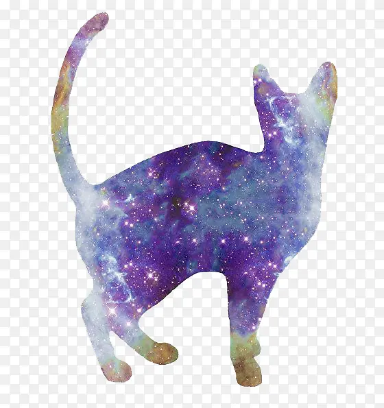 星空猫咪