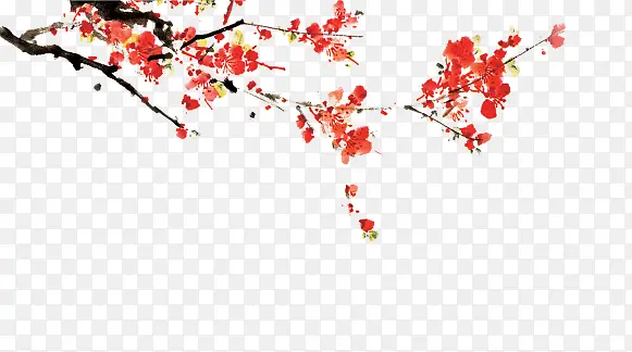 红色梅花枝