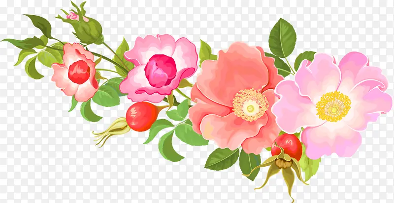 粉红红色花枝装饰