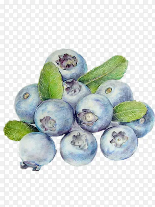 好看的手绘蓝莓