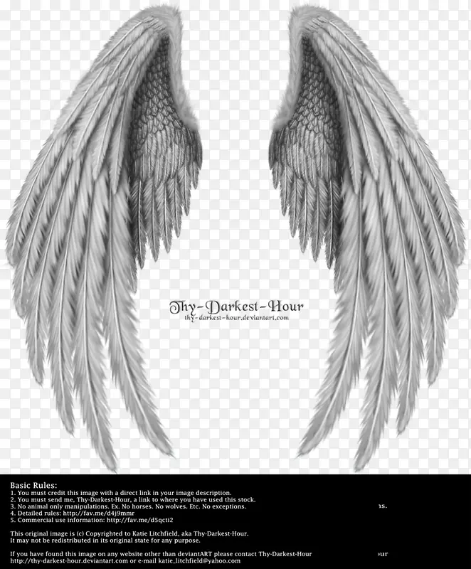 翅膀 天使的翅膀 实物
