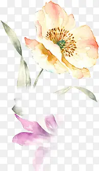 精美手绘花朵素材图