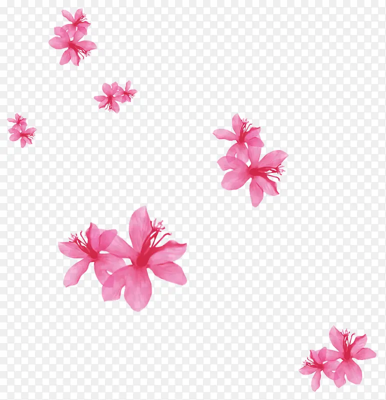 粉色飘落花朵