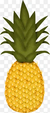菠萝卡通