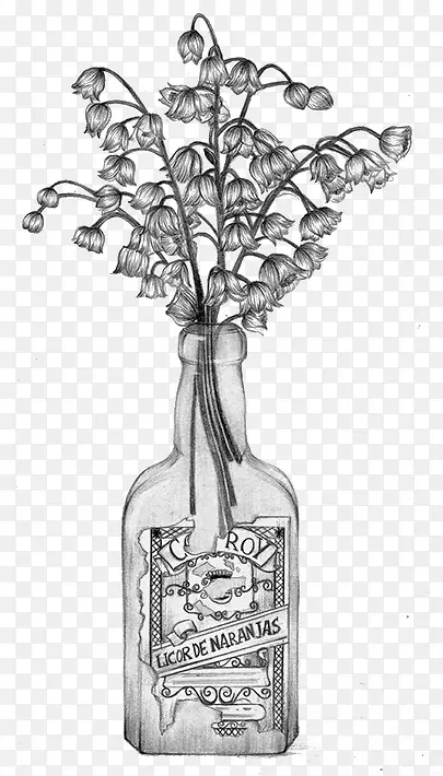 素描花卉
