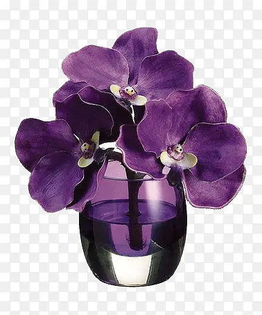 紫色插花