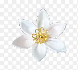 白色花黄色花蕊装饰