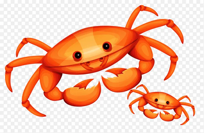 两只小螃蟹