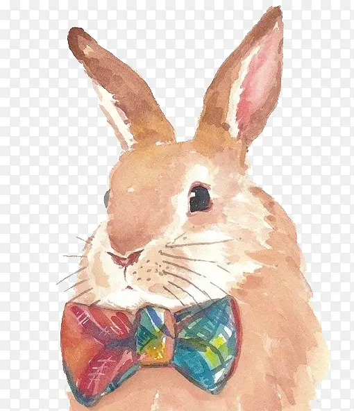 水彩卡通手绘兔子
