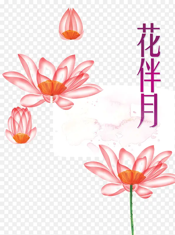 花伴月