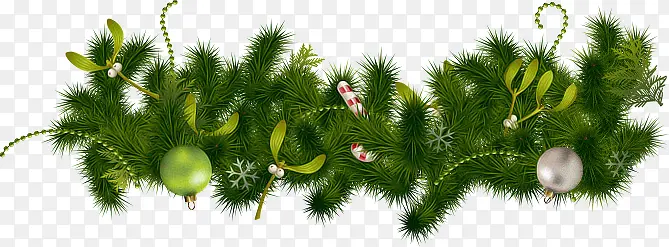 绿色松树枝圣诞节元旦