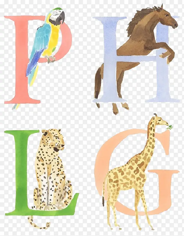 卡通英文字母和动物