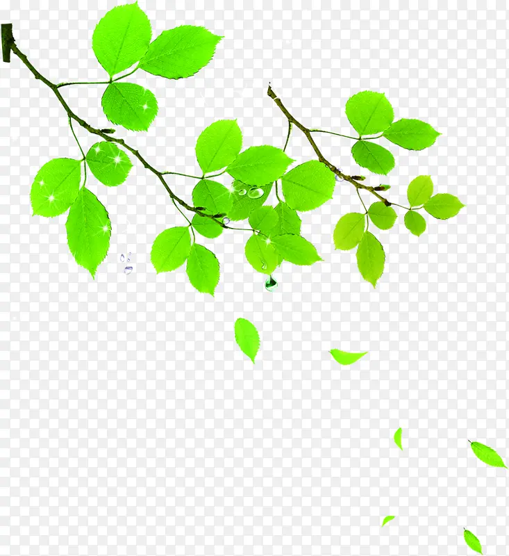 绿色卡通清新树枝节日装饰