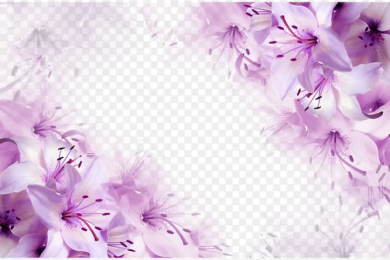 梦幻紫色花