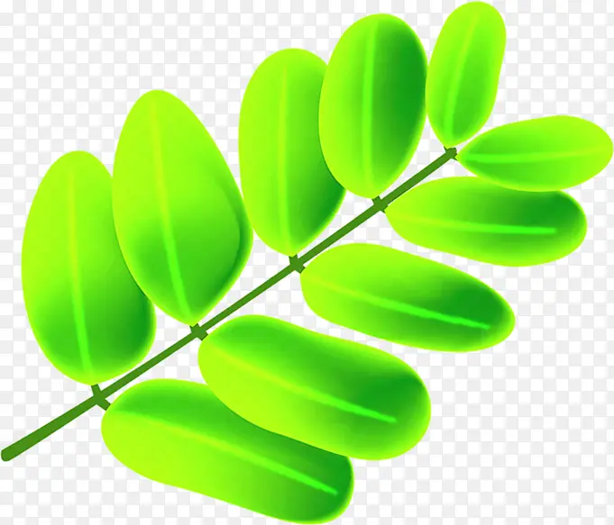 绿色树叶设计树枝