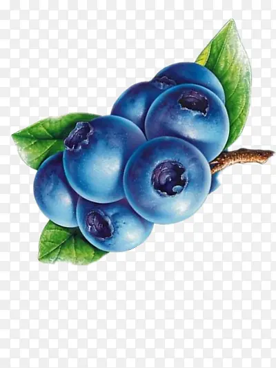 可口的蓝莓