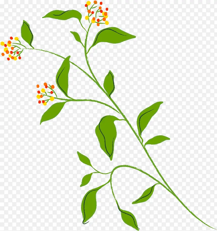 植物卡通插画花朵叶子