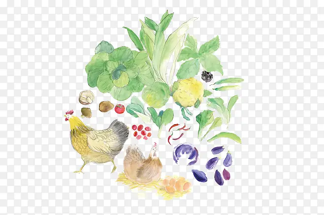 手绘食材