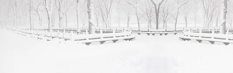 白色冬日美景公园