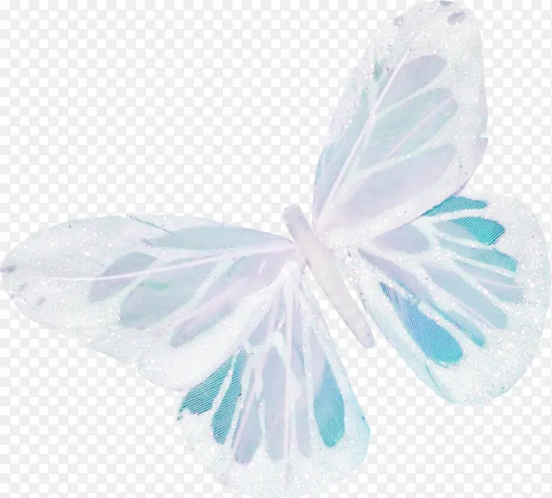 白色美丽蝴蝶