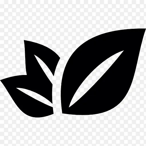 三植物叶片图标PNG图片素材下载_图片编号qanmkvzv-免抠素材网