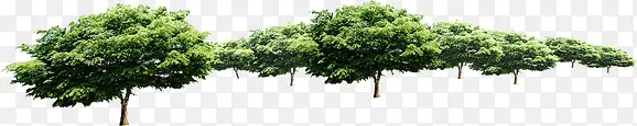 绿树美景景观园林