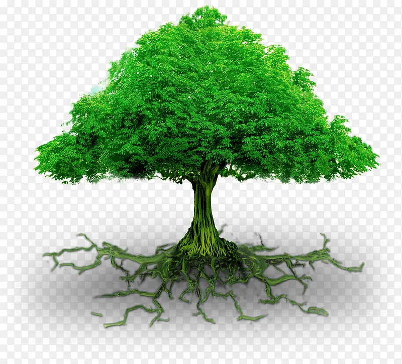 手绘海报植物绿色树木