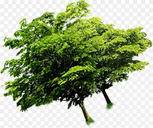 树木绿色地球海报