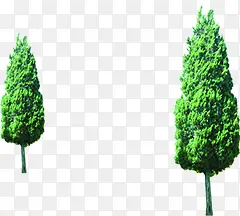 高清创意绿色树木合成效果