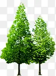 绿色树木园林植物