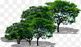 环境渲染效果绿色树木