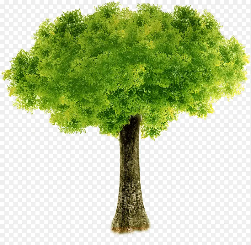 绿色清新设计树木