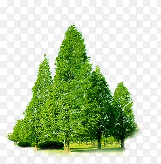 绿色环保植物树木
