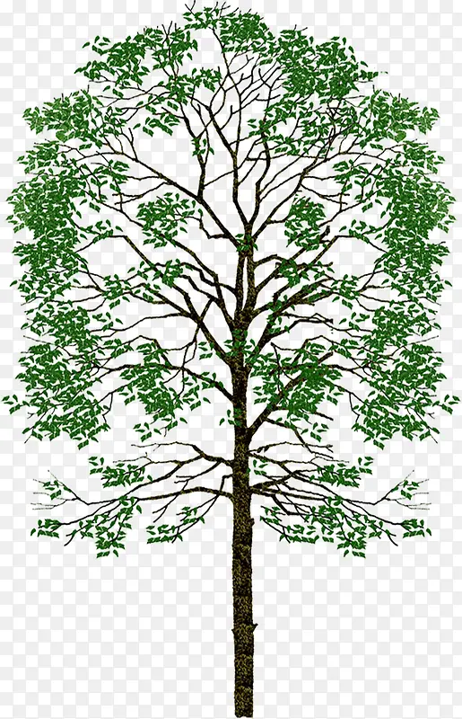 绿树卡通植物景观