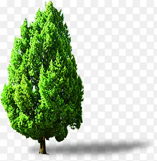 植物绿色卡通树木