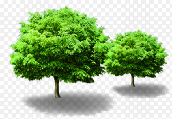 手绘夏日海报绿色植物树木