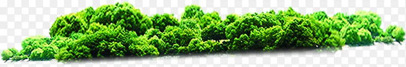 绿色植物效果树木