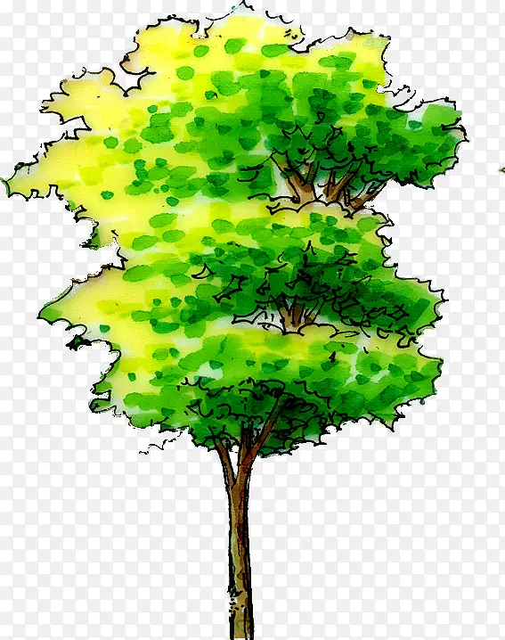 绿色树木贺卡设计图片