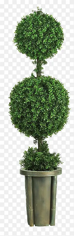绿色清新植物绿树PNG图片素材下载_图片编号qzkrvbjg-免抠素材网