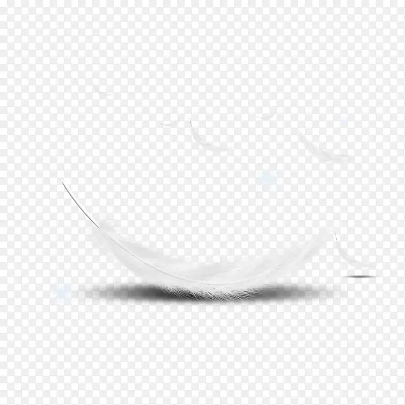 羽毛背影png