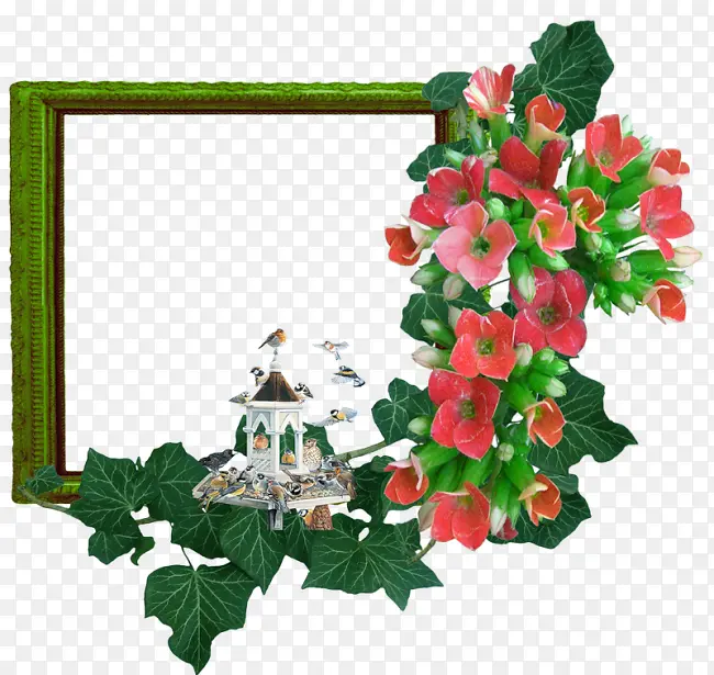 高清摄影合成花卉植物边框