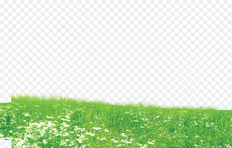 夏日海报风景绿色草坪