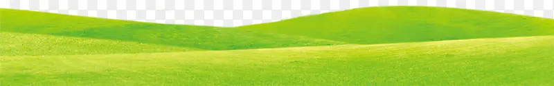 绿色草坪背景图片素材