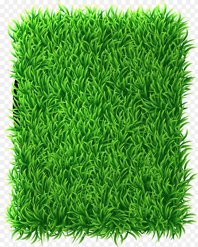 绿色方草坪
