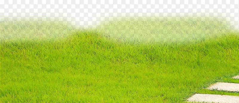 绿色清新草坪图片