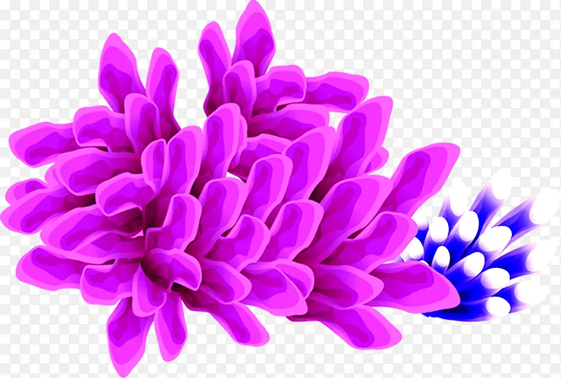 海底动物珊瑚效果设计颜色