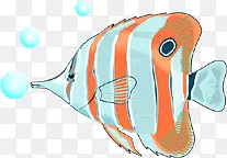 手绘插画鱼海底图